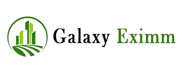 final-logo1 final-logo1